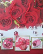 Пакет бумажный красные розы